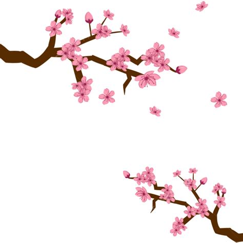 cherry blossom gif|cherry blossom gif transparent background.